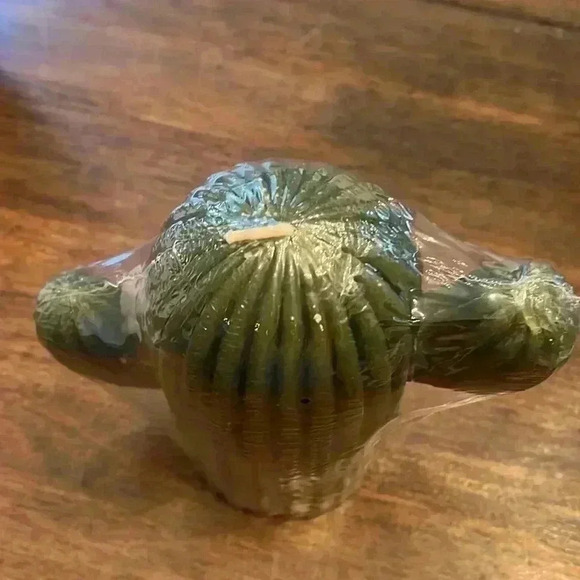 Cactus Candle NWT Unscented 24oz - Picture 3 of 4